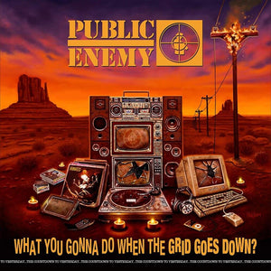 CD - PUBLIC ENEMY - WHAT YOU GONNA DO WHEN THE GRID GOES DOWN?