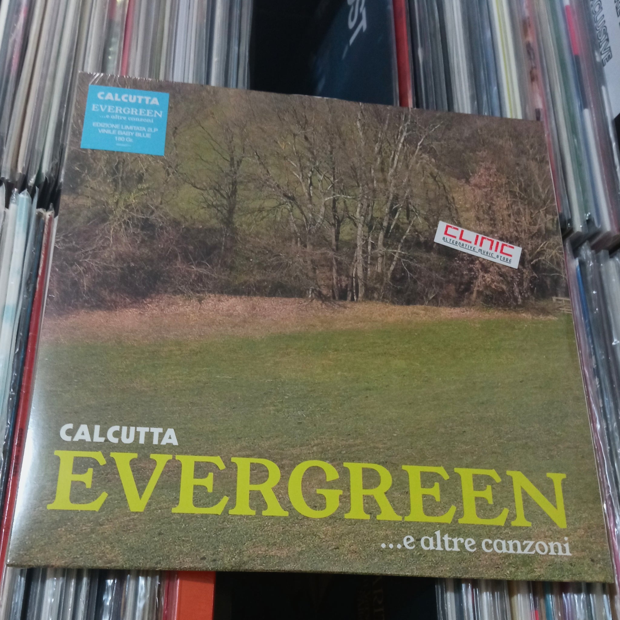 LP - CALCUTTA - EVERGREEN... E ALTRE CANZONI (Limited Edition)