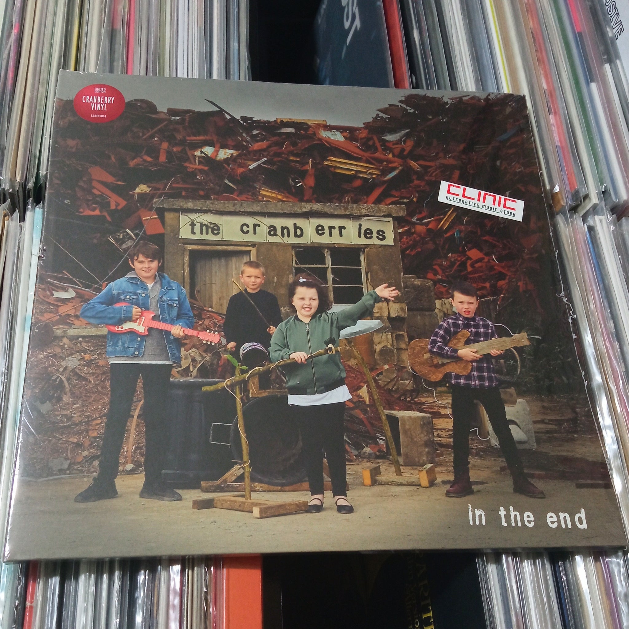 LP - THE CRANBERRIES - IN THE END (Limited Edition)
